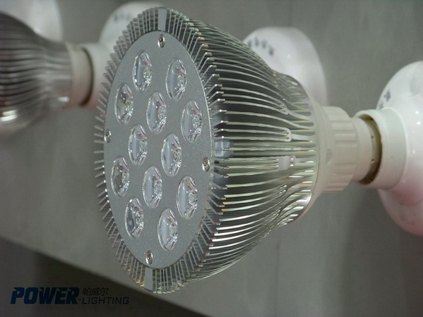PAR38 LED Spotlight